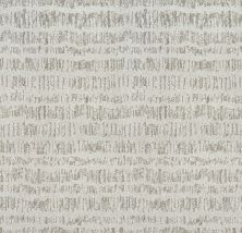 Shaw Floors Resort Chic Net Ethereal 00105_5E060