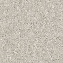 Shaw Floors Caress By Shaw Ombre Whisper Net Mist 00106_5E061