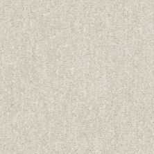Shaw Floors Caress By Shaw Ombre Whisper Net Soft Spoken 00107_5E061
