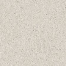 Shaw Floors Caress By Shaw Ombre Whisper Net Meditative 00501_5E061