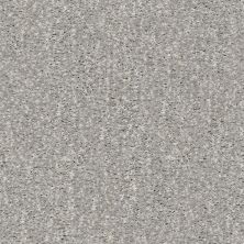 Shaw Floors Caress By Shaw Ombre Whisper Net Shadow 00502_5E061