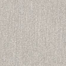 Shaw Floors Caress By Shaw Ombre Whisper Net Gradient 00504_5E061