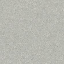 Shaw Floors Value Collections Take The Floor Texture I Net Gray Owl 00538_5E066