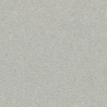 Shaw Floors Foundations Take The Floor Texture Blue Gray Owl 00538_5E068