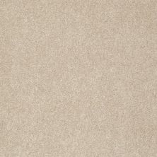 Shaw Floors Foundations Take The Floor Texture Blue Hickory 00711_5E068