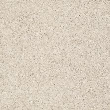 Shaw Floors Value Collections Take The Floor Twist I Net Patience 00133_5E069