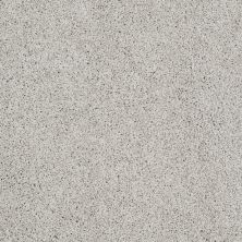Shaw Floors Value Collections Take The Floor Twist I Net Lead The Way 00141_5E069