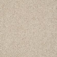 Shaw Floors Value Collections Take The Floor Twist I Net Hickory 00711_5E069