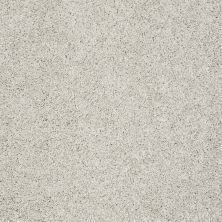 Shaw Floors Value Collections Take The Floor Twist II Net Lead The Way 00141_5E070