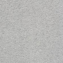 Shaw Floors Value Collections Take The Floor Twist II Net Gray Owl 00538_5E070