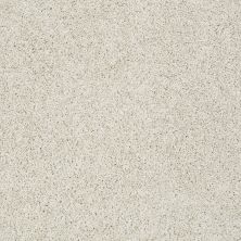 Shaw Floors Value Collections Take The Floor Twist Blue Alpaca 00140_5E071