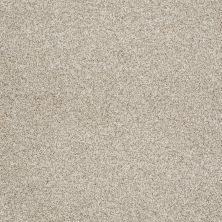 Shaw Floors Foundations Take The Floor Tonal I Net Fantasy 00162_5E072