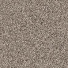 Shaw Floors Foundations Take The Floor Tonal I Net Triumph 00164_5E072