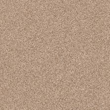 Shaw Floors Value Collections Take The Floor Tonal I Net Sienna 00761_5E072