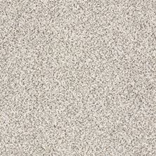 Shaw Floors Value Collections Take The Floor Accent I Net Avalanche 00173_5E075