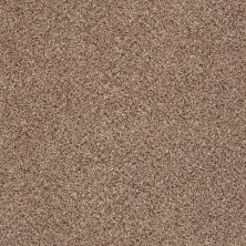 Shaw Floors Foundations Take The Floor Accent I Net Baltic Brown 00770_5E075