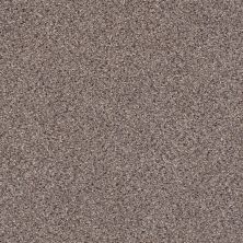 Shaw Floors Foundations Take The Floor Accent I Net Storm 00771_5E075
