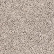 Shaw Floors Foundations Take The Floor Accent II Net Riverbed 00171_5E076