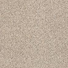 Shaw Floors Foundations Take The Floor Accent II Net Luna 00174_5E076