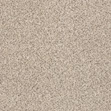 Shaw Floors Value Collections Take The Floor Accent Blue Net Luna 00174_5E077