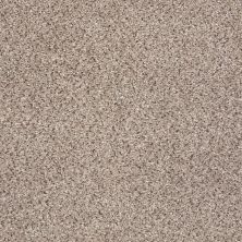 Shaw Floors Value Collections Take The Floor Accent Blue Net Everest 00176_5E077