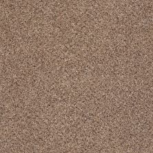 Shaw Floors Foundations Take The Floor Accent Blue Net Baltic Brown 00770_5E077