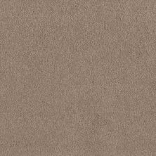 Shaw Floors Value Collections Sandy Hollow Classic I 12 Net Soft Shadow 00105_5E080