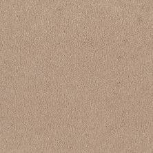Shaw Floors Value Collections Sandy Hollow Classic I 12 Net Cashew 00106_5E080
