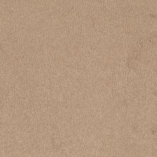 Shaw Floors Value Collections Sandy Hollow Classic I 12 Net Marzipan 00201_5E080