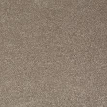 Shaw Floors Value Collections Sandy Hollow Classic I 12 Net Wood Smoke 00520_5E080
