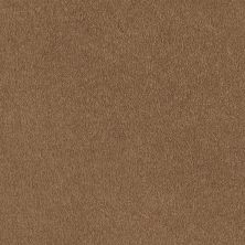 Shaw Floors Value Collections Sandy Hollow Classic I 12 Net Peanut Brittle 00702_5E080