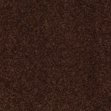 Shaw Floors Value Collections Sandy Hollow Classic I 12 Net Coffee Bean 00711_5E080