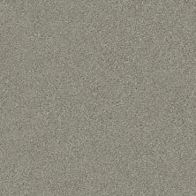 Shaw Floors Simply The Best Montage I Tempting Taupe 740A_5E081