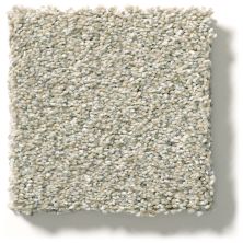 Shaw Floors Simply The Best Montage II Spun Wool 5E082_130A
