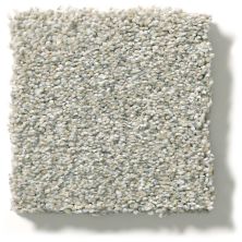 Shaw Floors Simply The Best Montage II Morning Frost 5E082_131A