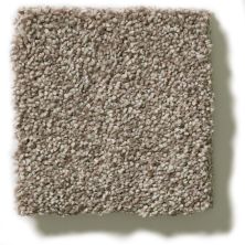 Shaw Floors Simply The Best Montage II Midtown Brown 5E082_720T