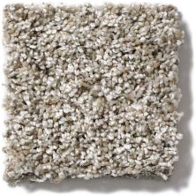 Shaw Floors Simply The Best Absolutely It Heavy Frost 5E084_00100