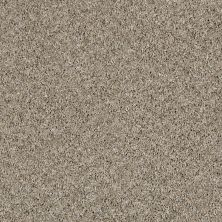 Shaw Floors Simply The Best Absolutely It Fairy Dust 00101_5E084