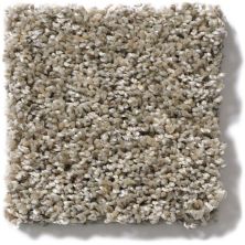 Shaw Floors Simply The Best Absolutely It Fairy Dust 5E084_00101