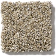 Shaw Floors Simply The Best Absolutely It Raw Silk 5E084_00103