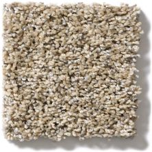 Shaw Floors Simply The Best Absolutely It Sun Glaze 5E084_00200