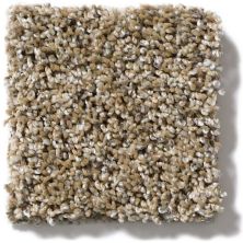 Shaw Floors Simply The Best Absolutely It Camel 5E084_00201