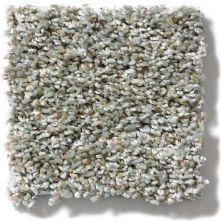 Shaw Floors Simply The Best Absolutely It Winter Chill 5E084_00500