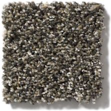 Shaw Floors Simply The Best Absolutely It Trade Winds 5E084_00502
