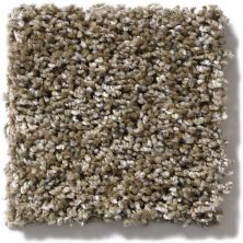 Shaw Floors Simply The Best Absolutely It Split Rail 5E084_00700