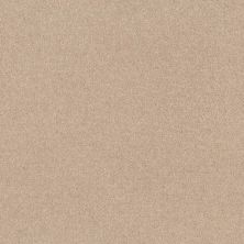 Shaw Floors Value Collections Knockout II 12 Net Gentle Breeze