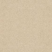 Shaw Floors Value Collections Knockout II 12 Net Pie Crust