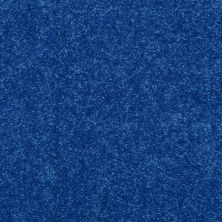 Shaw Floors Value Collections Knockout II 12 Net Electric Blue
