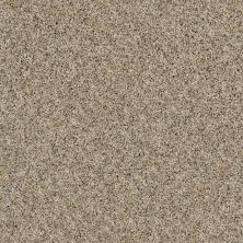 Shaw Floors Simply The Best Absolutely It Net Raw Silk 00103_5E093