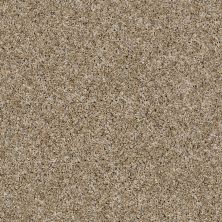 Shaw Floors Simply The Best Absolutely It Net Camel 00201_5E093